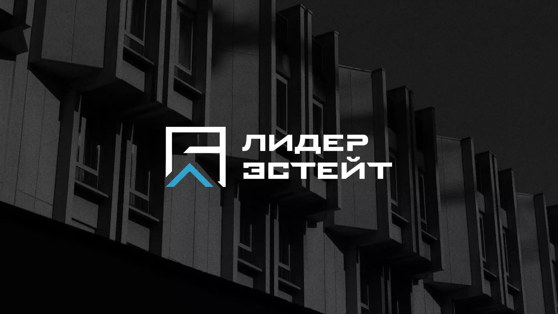 Разработка логотипа агентства недвижимости «Лидер Эстейт» в Зарайске