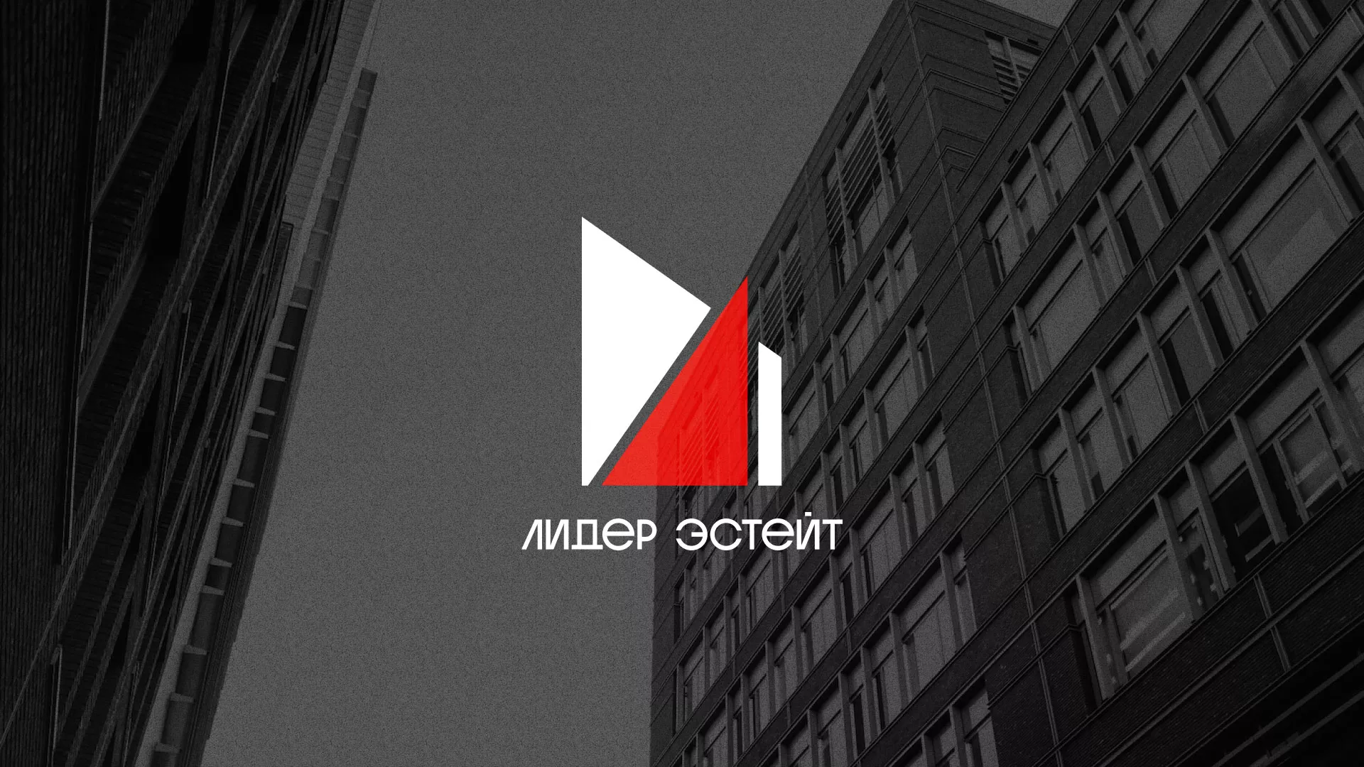 Сделали логотип для агентства недвижимости «Лидер Эстейт» в Зарайске